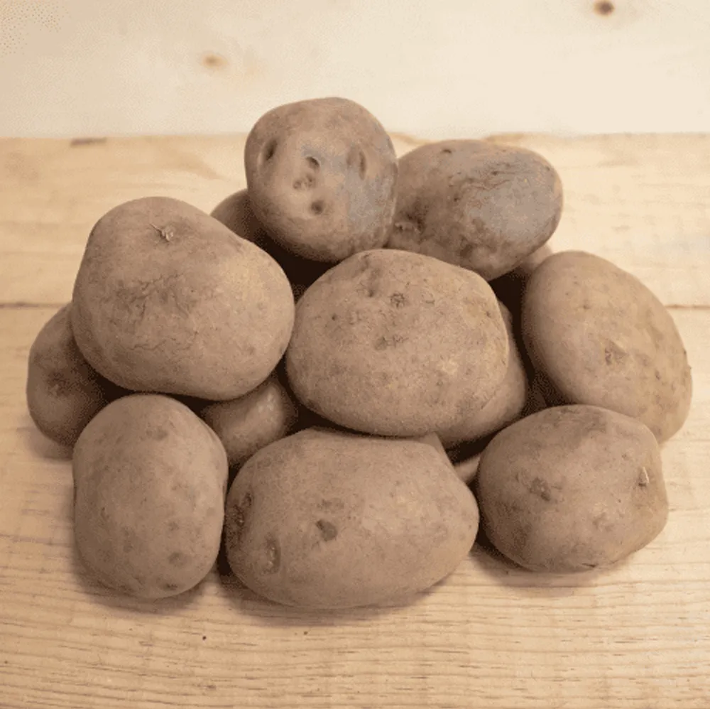 tipos de papa papa pastusa