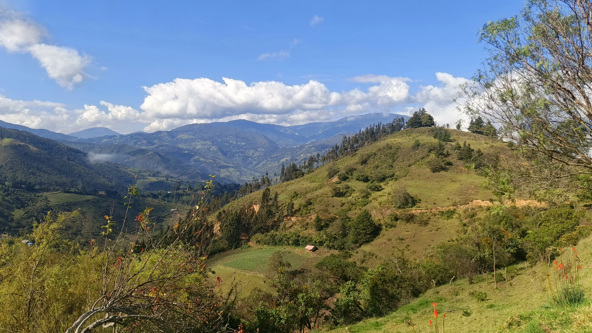 HERO INICIO UNION PAPA