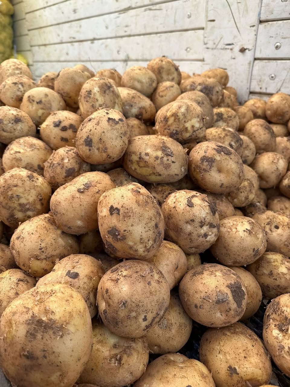 5 best vegetables in colombia 375 280